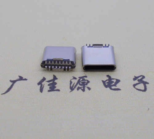立式贴片TYPE C16p公头