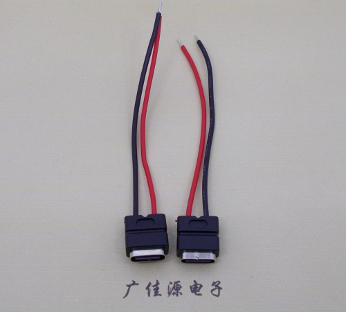 简易type-c2pin防水插座